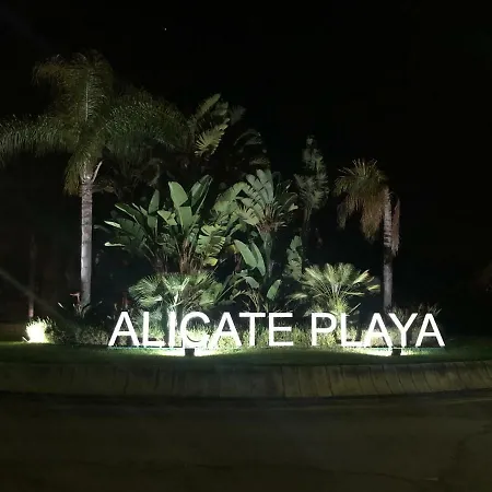 Alicate Playa *